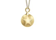 images/productimages/small/ashanger-plat-rond-ster-goud.jpg