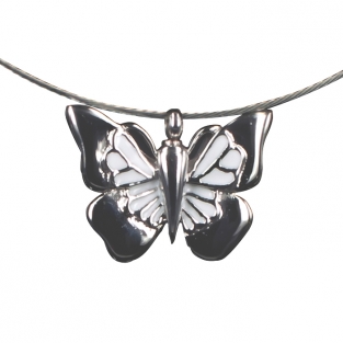 Ashanger vlinder 884